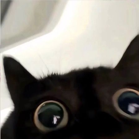 Profile Picture of zielinski._ (@zielinski._) on Tiktok