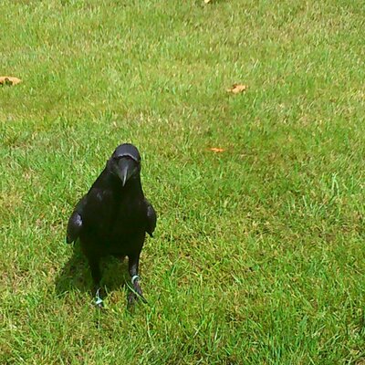 Profile Picture of Ainsley (@ainsley_spencer) on Twitter