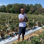 Profile Picture of Wayne Grant (@waynegrant709) on Instagram