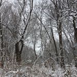 Profile Picture of Caleb Piper (@done_with_school123) on Instagram