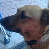 Profile Picture of Angela Frazier (@@angelafrazier3) on Tiktok