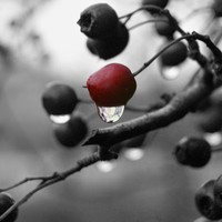 Profile Picture of Darryl Rubiolo (@darryl-rubiolo) on Quora