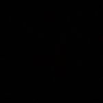 Profile Picture of Cindy Tong (@ctong159) on Instagram