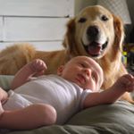 Profile Picture of Joe & Marshall (@joesmarshall) on Instagram