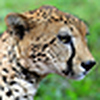 Profile Picture of Jon Andersen (@Jon Andersen) on Flickr
