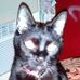 Profile Picture of Jason Couchman (@jason.couchman.5623) on Facebook
