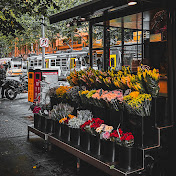 Profile Picture of Jason Dao (@duyhuy2645) on Youtube