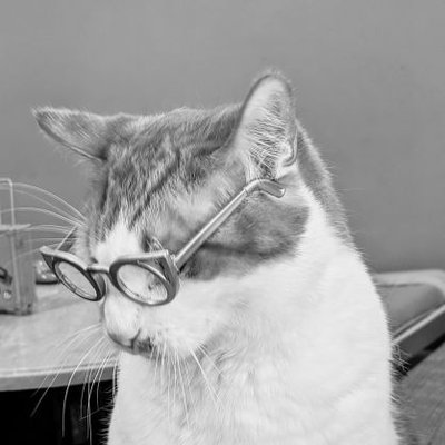 Profile Picture of Joy Crelin (@onejoycrelin) on Twitter