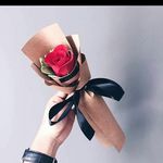 Profile Picture of casandra carolline (@casandra_50) on Instagram