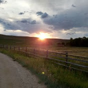 Profile Picture of Chad Sharp (@chadsharp7694) on Youtube