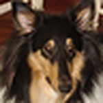 Profile Picture of Eric Applewhite (@ericapplewhite) on Flickr