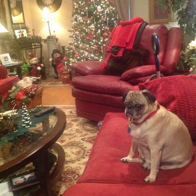 Profile Picture of Anthony Neil Serio (@tony304tx) on Twitter