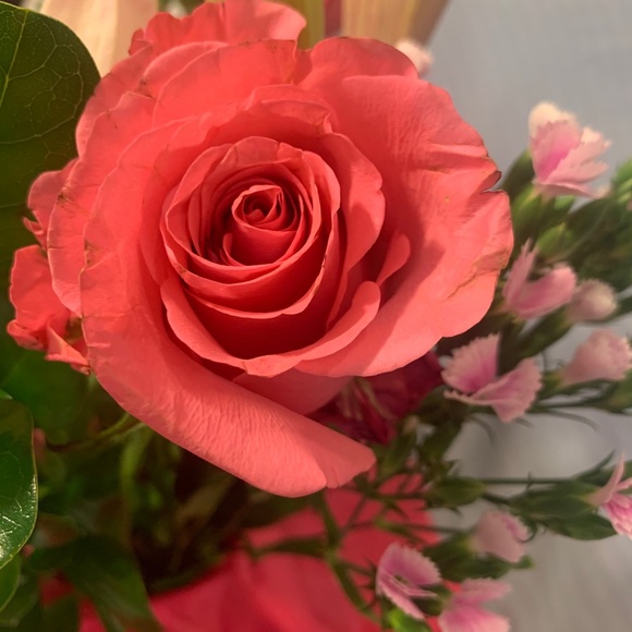 Rawda Amawi - Poshmark Profile Picture of Rawda Amawi (@rawda_amawi) on Poshmark