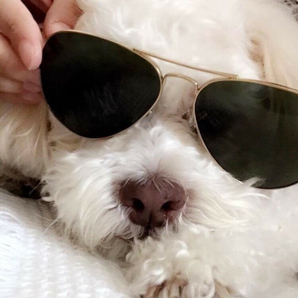 Profile Picture of Fabiola Prieto (@faby8a) on Poshmark