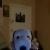 Profile Picture of Sarita Alvarez (@386926377) on Myspace