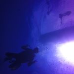Profile Picture of Cally Duncan (@according2cally) on Instagram