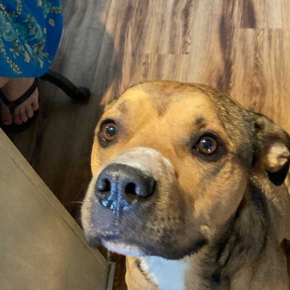 Rylee Racanelli - Poshmark Profile Picture of Rylee Racanelli (@rylee_racanelli) on Poshmark