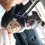 Profile Picture of Joshua Gossett (@gossettlive) on Instagram