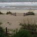 Profile Picture of Shannon Patella (@spatella) on Pinterest