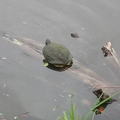 Profile Picture of Aaron Maze (@aaron.maze0) on Tiktok