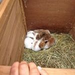 Profile Picture of Lorraine Wainwright (@lorraine.wainwright.39) on Instagram
