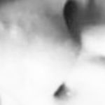 Profile Picture of Not David (@not.david.on.the.leaks) on Instagram