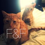 Profile Picture of Fred And Fergus (@fredandfergus) on Instagram