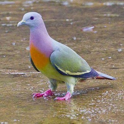 Profile Picture of Sarabjeet Singh (@sabbysingh1) on Twitter