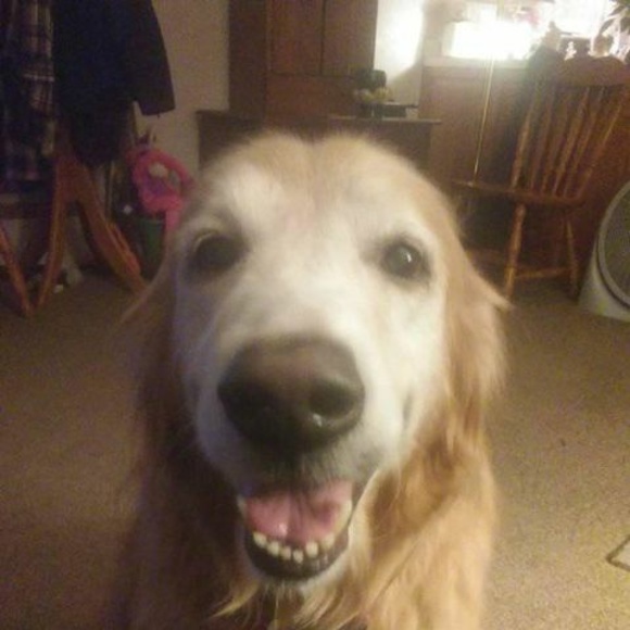 Profile Picture of Cindyk Bentz (@cindykbentz) on Poshmark