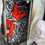 Profile Picture of James Voelker (@james.voelker.1690) on Facebook