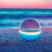 Profile Picture of Thomas Laskey (@laskey0246) on Pinterest