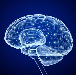 Mark Grimm - Facebook Profile Picture of Mark Grimm (@Mark-Grimm) on Facebook