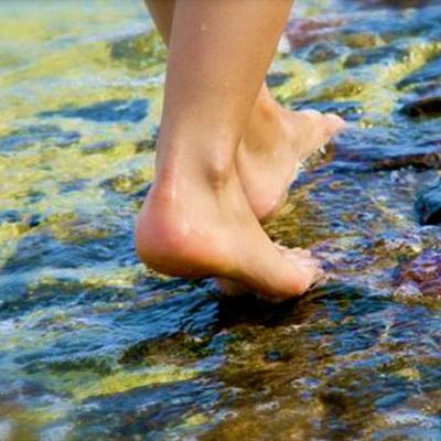 Profile Picture of Lori (@Gator_Girl_407) on Twitter