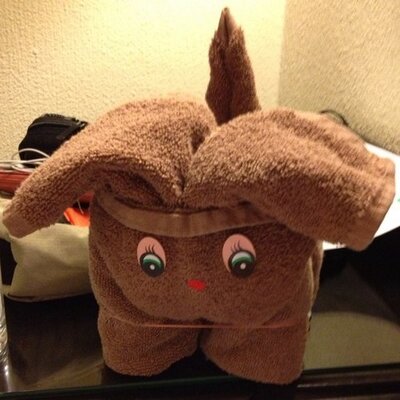 Profile Picture of Robin Noelle (@NDeckard) on Twitter