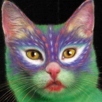 Profile Picture of Alexa Espinoza (@alexaespinoza02) on Twitter