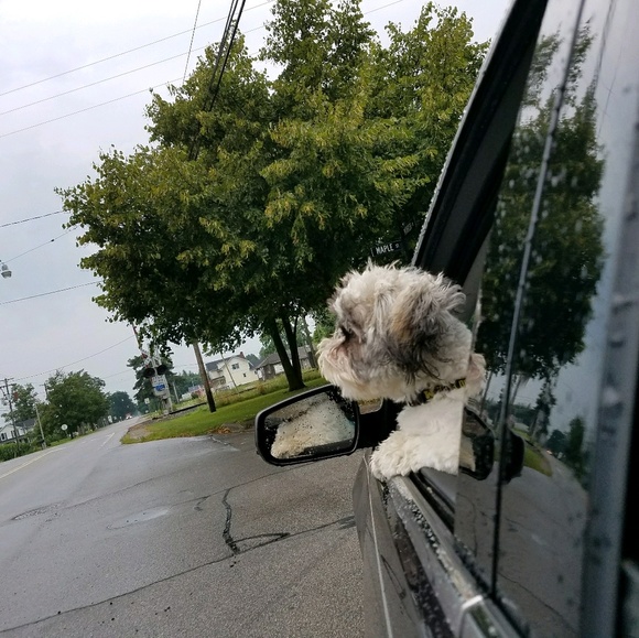 Profile Picture of Dorthey Resko (@dorthey) on Poshmark