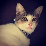 Profile Picture of Benjamin Encarnacion (@encxben) on Instagram