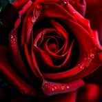 Baasil Cadda - Facebook Profile Picture of Baasil Cadda (@baasil.cadda) on Facebook