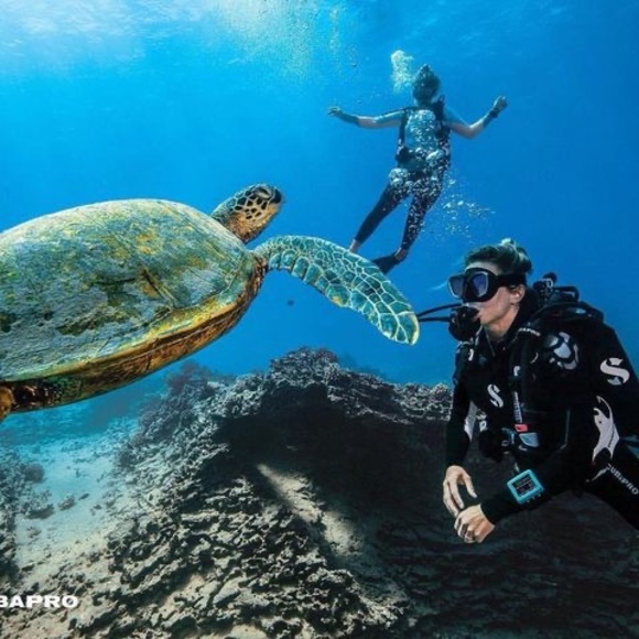 Profile Picture of Michael Cummins (@mcummins3521) on Poshmark