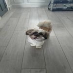 Profile Picture of Jack Plunkett (@plunkett.jack) on Instagram