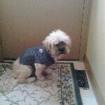 Profile Picture of Derek moffatt (@derekmoffatt) on Instagram