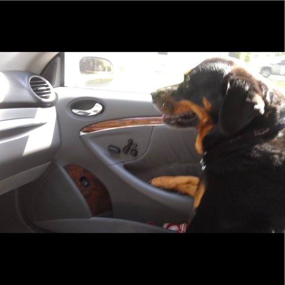 Profile Picture of Jan Giokas (@jangiokas) on Poshmark