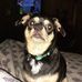 Profile Picture of Kay Miller (@kay.miller.5036459) on Facebook