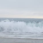 Profile Picture of William Sarini (@willysarini) on Instagram