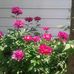 Profile Picture of Martin Carney (@martin.carney.528) on Facebook