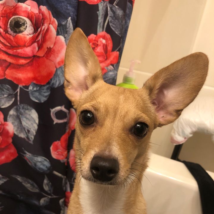 Profile Picture of kolepack (@kolepack) on Tiktok