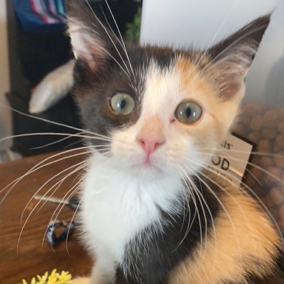 Profile Picture of Grace Walsh (@gracewalsh214) on Poshmark