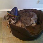 David Emin - Instagram Profile Picture of David Emin (@david.emin) on Instagram