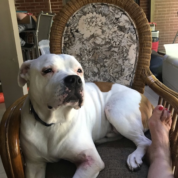 Profile Picture of Michele Hvizdos (@micheleh925) on Poshmark