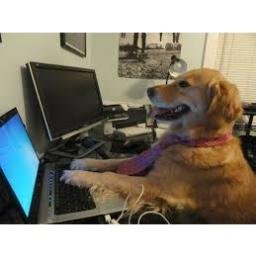 Profile Picture of David Malmgren-Hanse (@damaha_) on Twitter